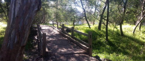 COMFORT INN COACH AND BUSHMANS - Accommodation Mermaid Beach 4