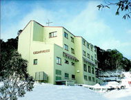 Cedarwood Apartments - Accommodation Mermaid Beach 0