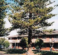 Eastern Beach Holiday Units - Accommodation Mermaid Beach