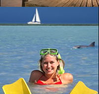 Monkey Mia Dolphin Resort - Accommodation Mermaid Beach