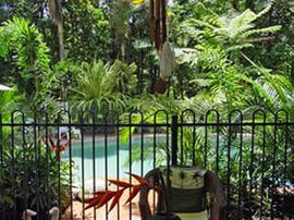 Daintree Rainforest Retreat Motel - Accommodation Mermaid Beach 0