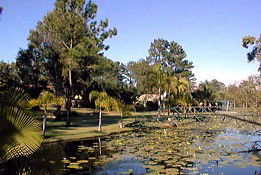  Accommodation Mermaid Beach