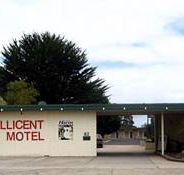 Millicent Motel - Accommodation Mermaid Beach