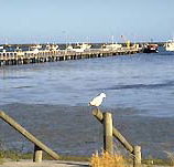 Seaview Motel and Holiday Units - Accommodation Mermaid Beach