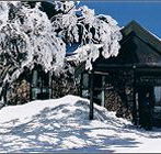 Arlberg Hotel Mt Buller - Accommodation Mermaid Beach