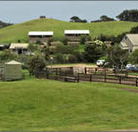 Ace Hi Riding Ranch - Accommodation Mermaid Beach
