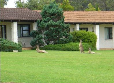 The Oaks Ranch & Country Club - Accommodation Mermaid Beach 1