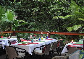 Daintree Rainforest Retreat Motel - Accommodation Mermaid Beach 1
