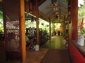 Daintree Rainforest Retreat Motel - Accommodation Mermaid Beach 2