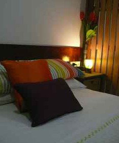 Daintree Rainforest Retreat Motel - Accommodation Mermaid Beach 3