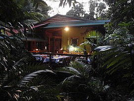 Daintree Rainforest Retreat Motel - Accommodation Mermaid Beach 4