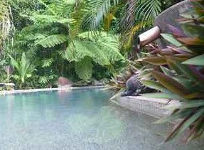 Daintree Rainforest Retreat Motel - Accommodation Mermaid Beach 5