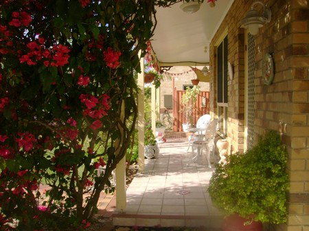 Angels Beach Lodge - Accommodation Mermaid Beach 2