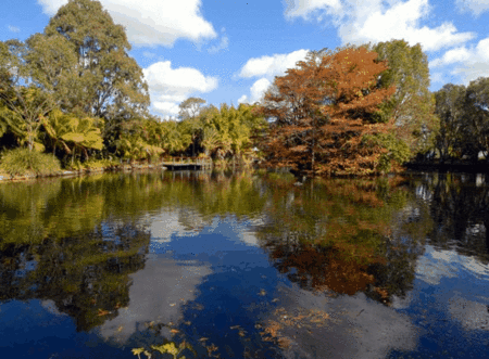BIG4 Maroochy Palms Holiday Village - Accommodation Mermaid Beach 2