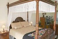 Pepper Tree Ridge B And B - Accommodation Mermaid Beach 3