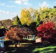 Edgelinks Bed And Breakfast - Accommodation Mermaid Beach