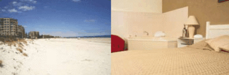 Buffalo Motor Inn - Accommodation Mermaid Beach 4