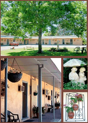Arch Motel - Accommodation Mermaid Beach 2