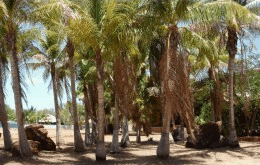 King Sound Resort Hotel - Accommodation Mermaid Beach