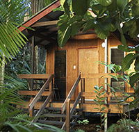 Cape Trib Beach House - Accommodation Mermaid Beach