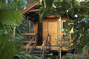 Cape Trib Beach House - Accommodation Mermaid Beach 0