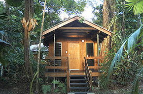 Cape Trib Beach House - Accommodation Mermaid Beach 3