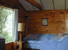 The Pines Resort - Accommodation Mermaid Beach