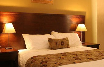 Whale Motor Inn - Accommodation Mermaid Beach 1