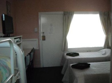 The Tree Motel - Accommodation Mermaid Beach 2