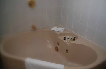 Oasis By The Lake - Accommodation Mermaid Beach 4