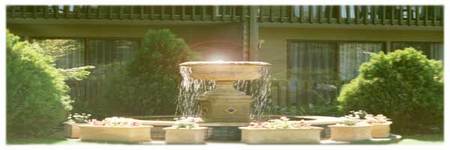 Best Western Tall Trees Motel - Accommodation Mermaid Beach 2