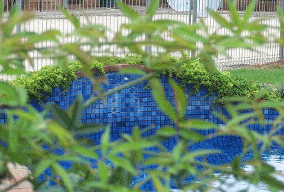 Arcadia Motor Inn - Accommodation Mermaid Beach 4