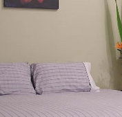 Stingo Hotel - Accommodation Mermaid Beach