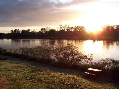 Colonial Court Motor Inn - Accommodation Mermaid Beach 2