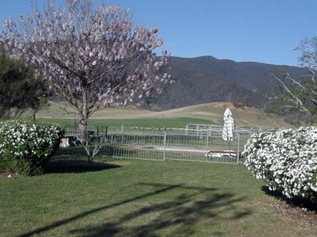 Araluen Old Courthouse - Accommodation Mermaid Beach 0