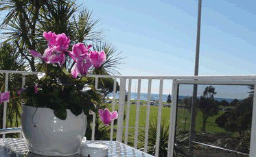 Beach Park Motor Inn - Accommodation Mermaid Beach 3