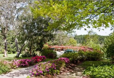 Bilpin Resort - Accommodation Mermaid Beach 2