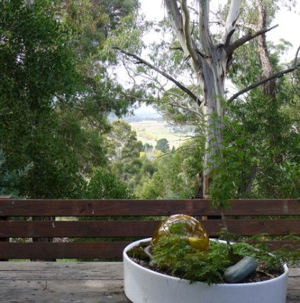 Bimblegumbie B And B - Accommodation Mermaid Beach 0