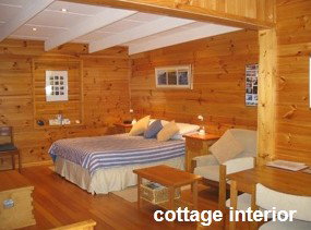 Anglesea Rivergums - Accommodation Mermaid Beach 0