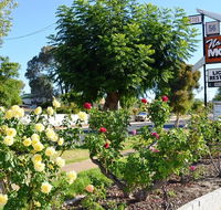 Narrogin Motel - Accommodation Mermaid Beach