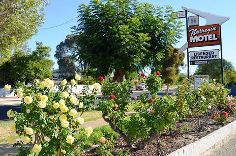 Narrogin Motel - Accommodation Mermaid Beach 0