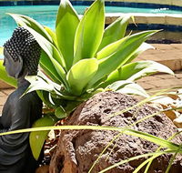 Barham Bridge Motor Inn - Accommodation Mermaid Beach