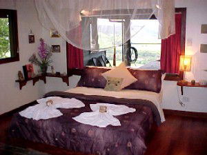 Daintree Cloud 9 - Accommodation Mermaid Beach 0