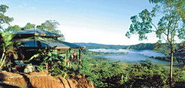 Daintree Cloud 9 - Accommodation Mermaid Beach 1