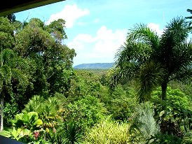 Daintree Manor - Accommodation Mermaid Beach 3