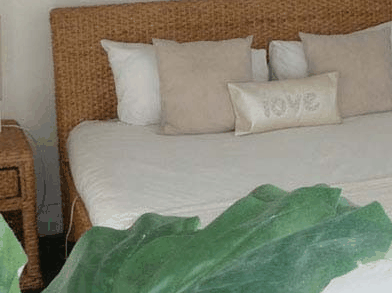 Caledonian Inn - Accommodation Mermaid Beach