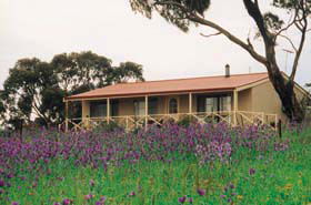 Armagh SA Accommodation Mermaid Beach