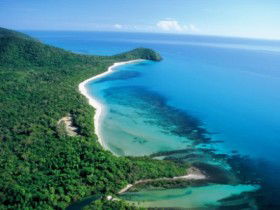 Cape Tribulation Camping - Accommodation Mermaid Beach 0
