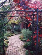 Adelaide Hills Country Cottages - The Nest - Accommodation Mermaid Beach 2