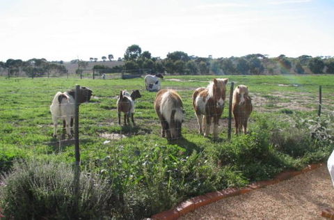 Redwing Shearer's Quarters - Accommodation Mermaid Beach 1